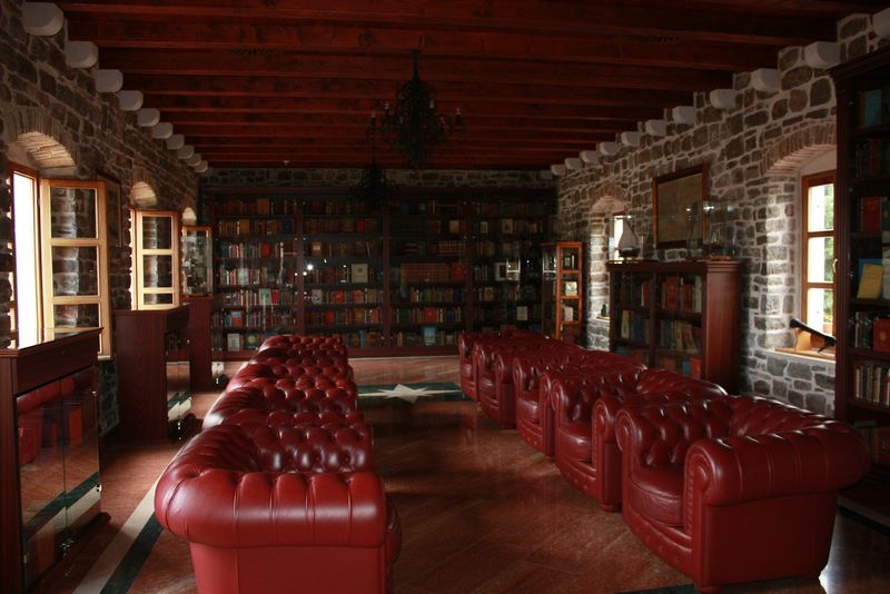 A private library with leather sofas