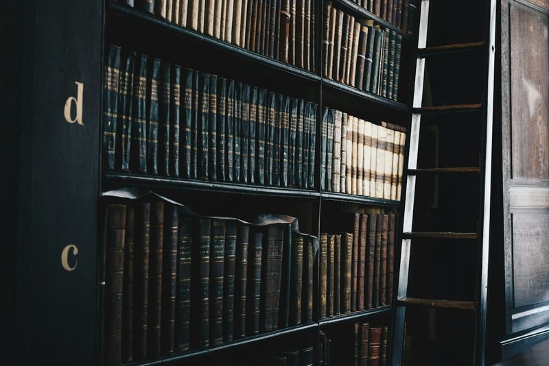 Rows of law books on dark shelves